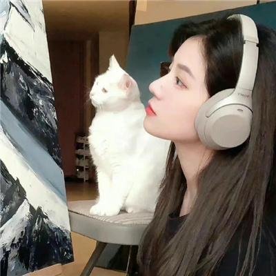 深宅迷案
